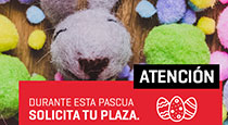 Solicita tu plaza hoy mismo