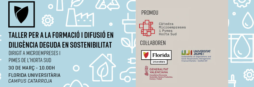 Taller per a la formació i difusió en diligència deguda en sostenibilitat